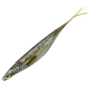 y12/5 ő2,000~OFFz fvX(Deps) TJ}^VbhA m\g 7C` S4F