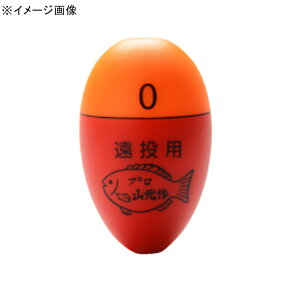 vR vREL19Y OE(^Cv) S10TCY