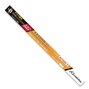 H[ JZt CJ_ƃJX^ւ CUSTOM-KG ACTION 1 ACTION 1