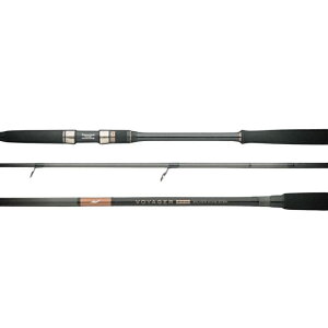 i\F11ח\j AsA(APIA) VOYAGER({CW[) EX IV SILVER KING S78H S78H