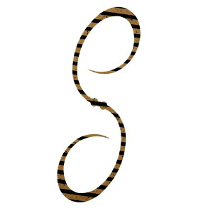 13-15͑Si+P5 V}m(SHIMANO)  X|XJ[[ 110mm 011([uOp) ED-X04U