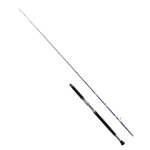 sAebN(SNXy) 3 sAD Purple Edition 245-120(2s[X) 245-120 yʑiz ^