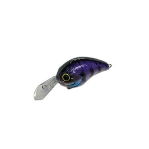 �y18���ő�5000�~OFF�N�[�|���z mibro(�~�u��) �f�����W���[ MR 43mm #05 �x�r�[�u���[�M��