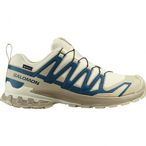 �y�X�[�p�[SALE�X���ő�52��OFF�z SALOMON(�T������) XA PRO 3D V9 GORE-TEX(XA �v�� 3D V9 �S�A�e�b�N�X) �S2�F �S5�T�C�Y