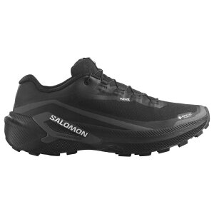 SALOMON(�T������) GENESIS 2 GORE-TEX(�W�F�l�V�X 2 �S�A�e�b�N�X) L49300300 �S5�T�C�Y