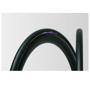 pi[T[(Panaracer) AGILEST TLR AWXgTLR `[uXfB ^C TCN/] 700×25C /(ETRTO:25-622) F725TR-AG-B