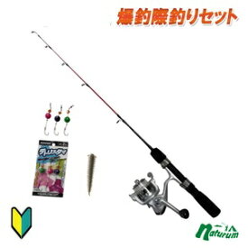 楽天市場 防波堤 釣りセット 種類 ロッド 竿 磯竿 の通販