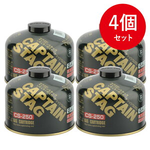 LveX^bO(CAPTAIN STAG) M[KXJ[gbWCS-250×4y4_Zbgz M-8251
