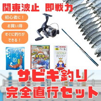 楽天市場】ビビッド波止サビキセットの通販