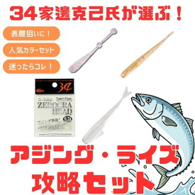 34(サーティーフォー) 家邊克己氏が選ぶ!ライズ(魚が水面で跳ねている状態)」攻略セット