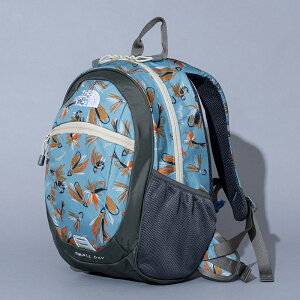 THE NORTH FACE(�U�E�m�[�X�E�t�F�C�X) �X���[�� �f�C �L�b�Y NMJ72360 �S16�F