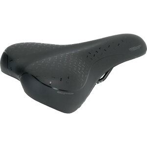 TIOGA(�^�C�I�K) Geminus �W�F�~�i�X SDL37400