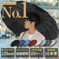 楽天市場】折り畳み傘 セリーヌの通販