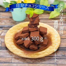 【着後レビューで500円OFFクーポン配布中】【糖質93％オフ】自分チョコシリーズ 生チョコ300g 低糖質 スイーツ 糖質制限 デザート 糖質カット グルテンフリー ソイフリー 低糖質専門店 NATUVIEW ナチュビュー 低糖質スイーツ 糖質オフスイーツ