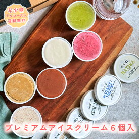 【着後レビューで500円OFFクーポン配布中】【アルロース入り】アイス プレミアムアイスクリーム 6個入 低糖質 スイーツ 糖質制限 デザート 糖質カット 低糖質専門店 NATUVIEW ナチュビュー ケトジェニック アルロース 砂糖不使用 糖質オフスイーツ