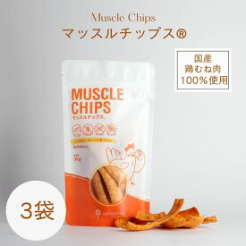 【着後レビューで500円OFFクーポン配布中】【ノンフライ・高たんぱく・無添加】フード マッスルチップス®3袋 低糖質 糖質制限 糖質カット グルテンフリー ソイフリー 高たんぱく 低糖質専門店 NATUVIEW ナチュビュー ケトジェニック 低糖質スイーツ 糖質オフスイーツ