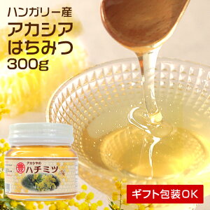 nK[Y AJVAI 300g r ݂͂ n`~c I