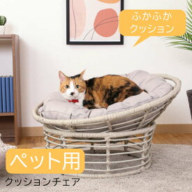 ペット用ベッド キャットチェア ペット用寝具 室内 屋内 小型犬 猫 かわいい リゾート風 不二貿易 ペット用クッションチェア グレー