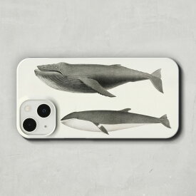 スマホケース / チャールズ メルビル スカモン「ザトウクジラとミンククジラ (1872)」 iPhone 全機種対応 14 13 12 11 SE Pro Max Plus mini ケース カバー くじら 鯨 クジラ アンティーク 絵画 アート レトロ マット ペア 個性的 おもしろ