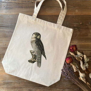 g[gobO / tH Cg uU[YuIiKtNEv Jo LoX z ӂ낤 tNE ~~YN  ҋח   Aj} 킢 G A[g g }bg yA 