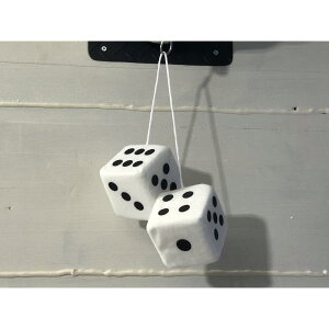 X݌ɗLLife is a gamble [~[ nMO t@W[ _CX  zCg FD003 dice ) ~[ mirror nCG[X Wj[ N pWF W[v Cp [C_[ _bg 