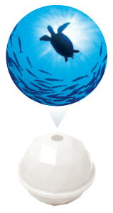 h[Y@Dreams vWFN^[ h[ I[V White / Sea Turtle VRT42545