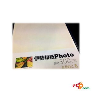 La ɐa Photo Ƃ̂F 300m ͂TCYiܒPF20j kt300Pc ysz