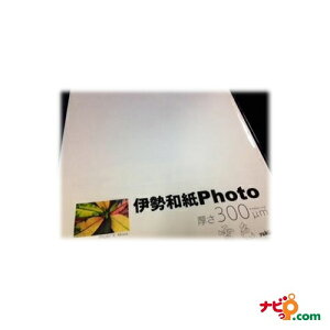 La ɐa Photo F 300m ͂TCYiܒPF20j ky300Pc ysz
