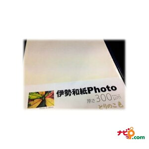 La ɐa Photo Ƃ̂F 300m TCYA4iܒPF10j kt300A4 ysz