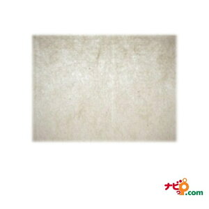La CNWFbgv^Ή 肷ɐa N A4 ӎty8) tmA4 ysz