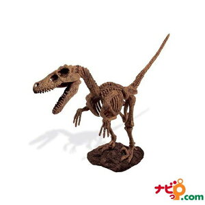 恐竜骨格模型【ジオワールド】GEOWORLD 恐竜発掘セット ヴェロキラプトル CL-119K (恐竜フィギュア)