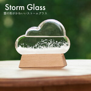 Xg[OX NEh 333-274 Xg[OX NEh J Xg[OX Cیv CeA Mtg v[g storm glass Chatani