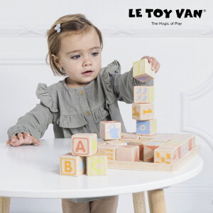 ABC[jOubNX TV0050 LE TOY VAN gC@ gCo ؂̂ ؐߋ 킢  CO CMX NX}X v[g a oYj mߋ q Ԃ j