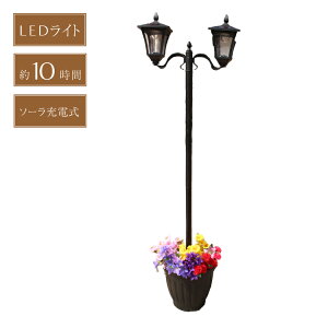 �A�ؔ��t���\�[���[�X���@2�� �O�� �v�����^�[ ���� �I�V���� ���[���b�p�� ���� �A�ؔ� �K�[�f�����C�g �|�X�g�t���@TAN-763-2