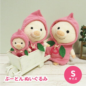 Ձ[Ƃ ʂ STCY p[J[ 33498 Ԃ v[g Mtg