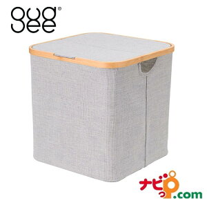 GUDEE OfB AKORE ӂt [oXPbg XNGA u[ Xg[W{bNX ܂肽 oXPbg [ [JS [{bNX  킢 [ z ` e  | | 