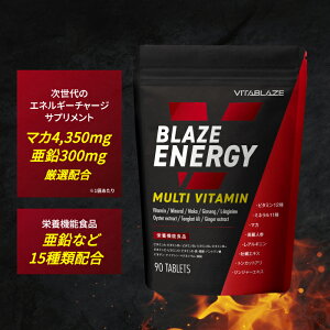 BLAZE ENERGY �}���`�r�^�~�� & �}���`�~�l���� �T�v�������g �r�^�~�� 12�� �~�l���� 11�� ���� �}�J ����l�Q �A���M�j�� �g���J�b�g�A�� ���y�G�L�X VITA BLAZE �r�^�u���C�Y �u���C�Y�G�i�W�[