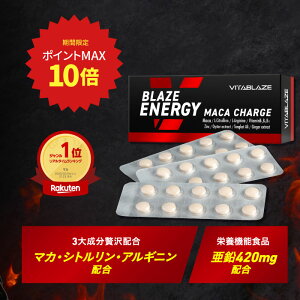 y|Cgő10{z BLAZE ENERGY }J `[W  Vg AMj gJbgA lQ yGLX VITA BLAZE r^uCY uCYGiW[ }JTv