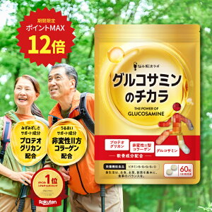 y|Cgő12{zORT~̃`J veIOJ ORT~ R[Q ֐ G Tv veIOJ ORT~ RhC`