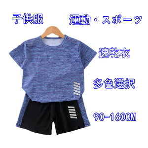 [X|[cEFA LbY ㉺Zbg n[tpc  tVc V[gpc Y{ ZbgAbv ^ j̎q ̎q q qǂ WjA z O΍  킢