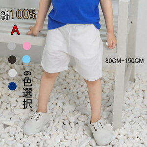 u100%v q X|[cEFA Y{{ j̎q̎q Ȃ̃Y{ NXA Y{{ ܕY{ pc  ɏo ct wZ wZ AEghA t  H