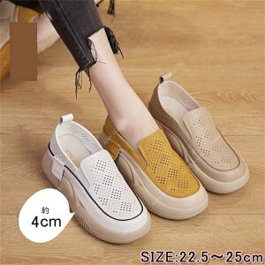 SNSőlC N̒ԁI EhgD胍[t@[ JWAV[Y Od lԍHw JWA V[Y fB[X 4cm yʐ݌v ~ ʋCK L