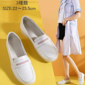 RC i[XV[Y RC Xb| JVXb| y fB[X JV JWAV[Y r V[Y ʋ ʋC q[ JVV[Y ؂ ɂȂ 