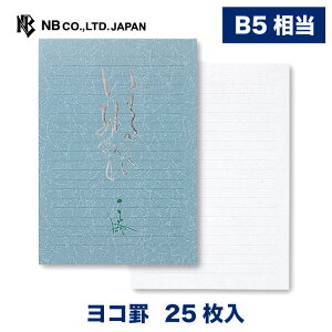 便箋 罫線 B5の人気商品 通販 価格比較 価格 Com