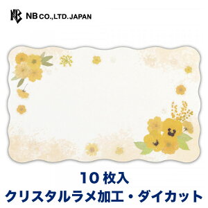 Gkr[ bZ[WJ[h  CG[ | 10 _CJbg NX^H ~j hTCY  IV JCC 킢  Vv i v[g   