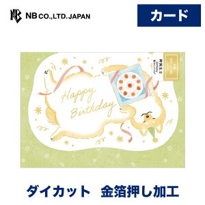 Gkr[ ӂ킩 a ΂ | o[Xf[J[h  _CJbg m`2 bZ[W  䟭 IV JCC 킢  l j̎q ̎q a nbs