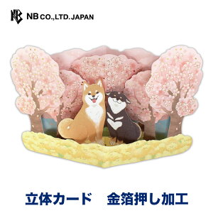 Gkr[ 闧̃J[h ړI 炵 | O[eBOJ[h  |bvAbv  ` FB  IV 킢  l v[g  A  