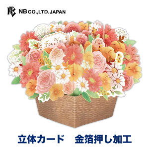 Gkr[ 闧̃J[h ړI Đ | O[eBOJ[h  |bvAbv  ` ʔN  bZ[W  LO FB  IV 킢  i 