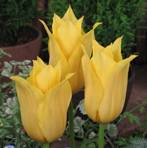 `[bv@@z()@V14@4@菤i