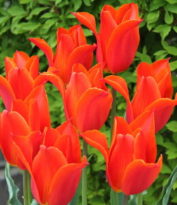 `[bv@@ArbNX@V3@4@菤i